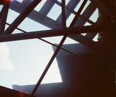 Rola i znaczenie lokalnych domów kultury w animowaniu życia społecznego