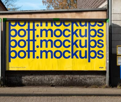 Wpływ lokalnych mediów na kształtowanie opinii publicznej