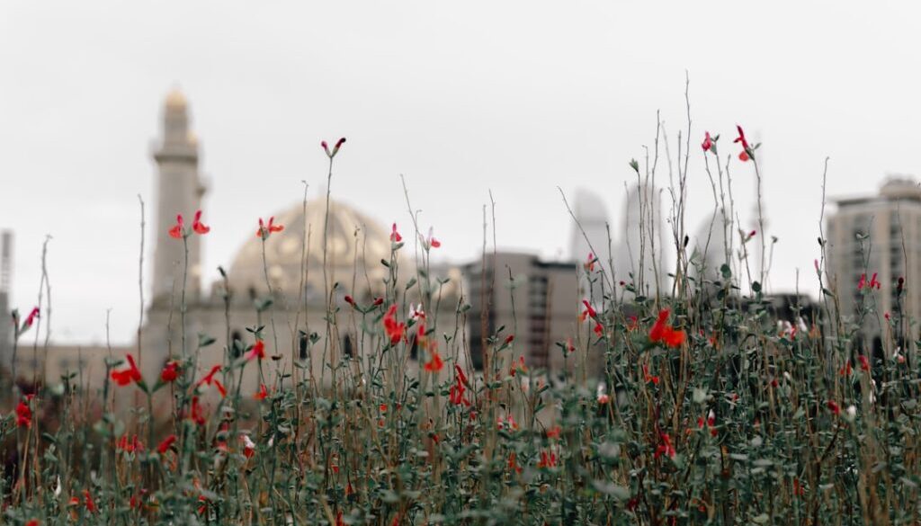 Architektura, która budzi emocje - jak socrealizm wpływa na krajobraz miast w Polsce