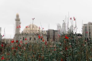 Architektura, która budzi emocje - jak socrealizm wpływa na krajobraz miast w Polsce